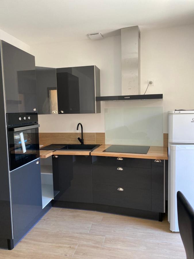 Appartements Neufs Avec Garages Dans Maison De Village Andance 외부 사진