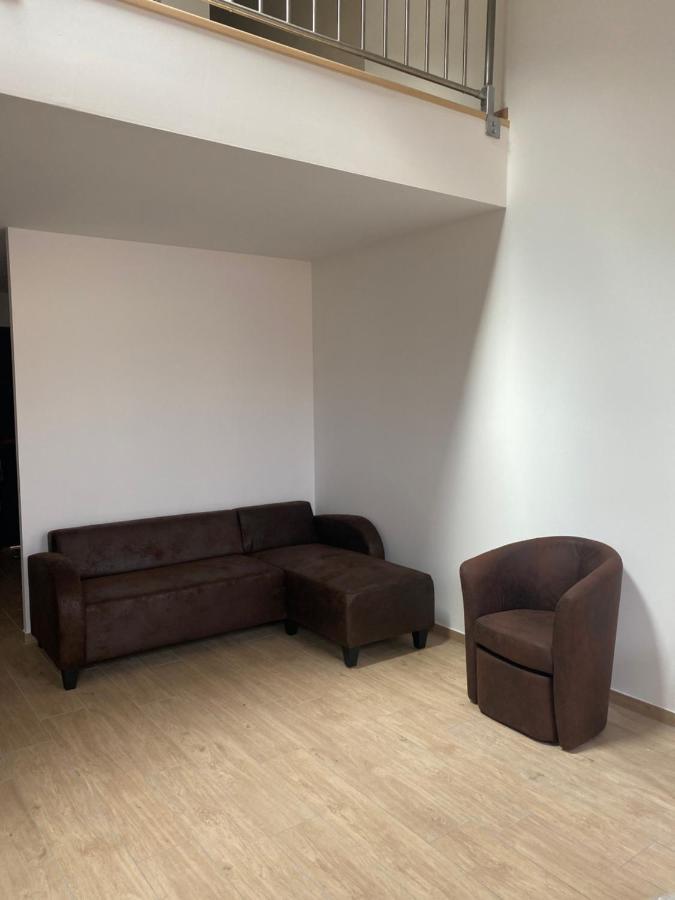 Appartements Neufs Avec Garages Dans Maison De Village Andance 외부 사진