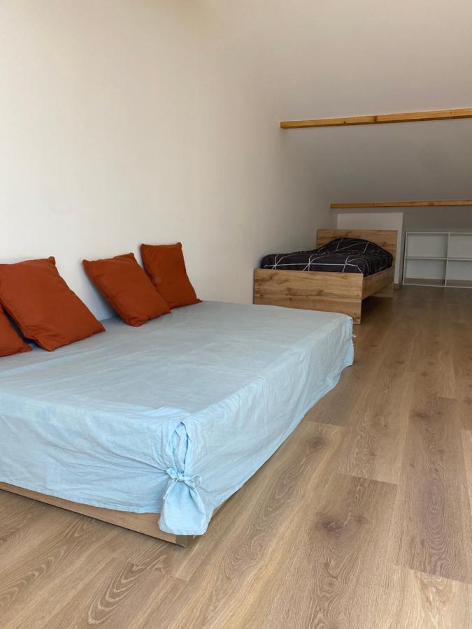 Appartements Neufs Avec Garages Dans Maison De Village Andance 외부 사진